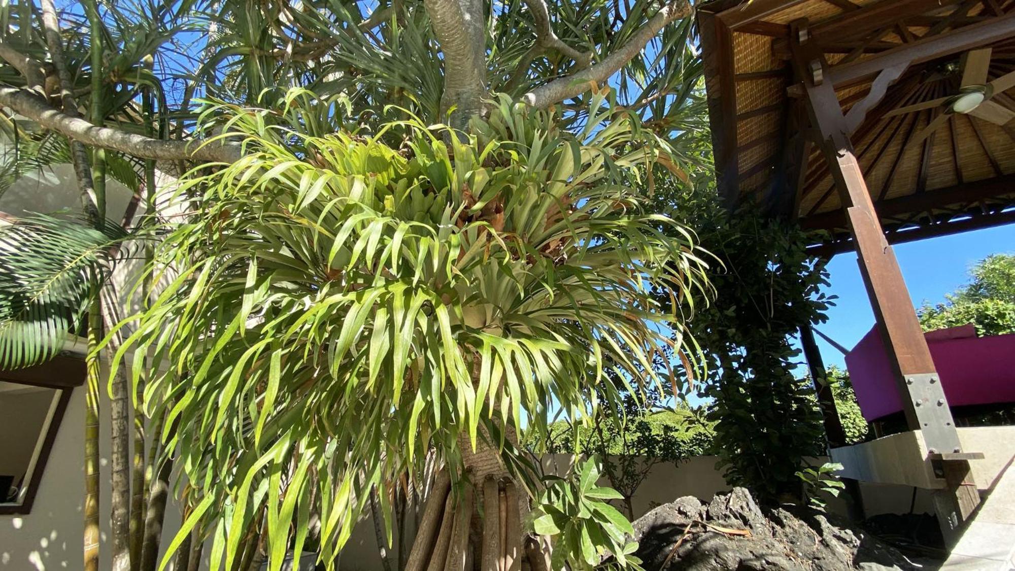 Coliver - Coliving A La Reunion Saint Pierre Exterior photo