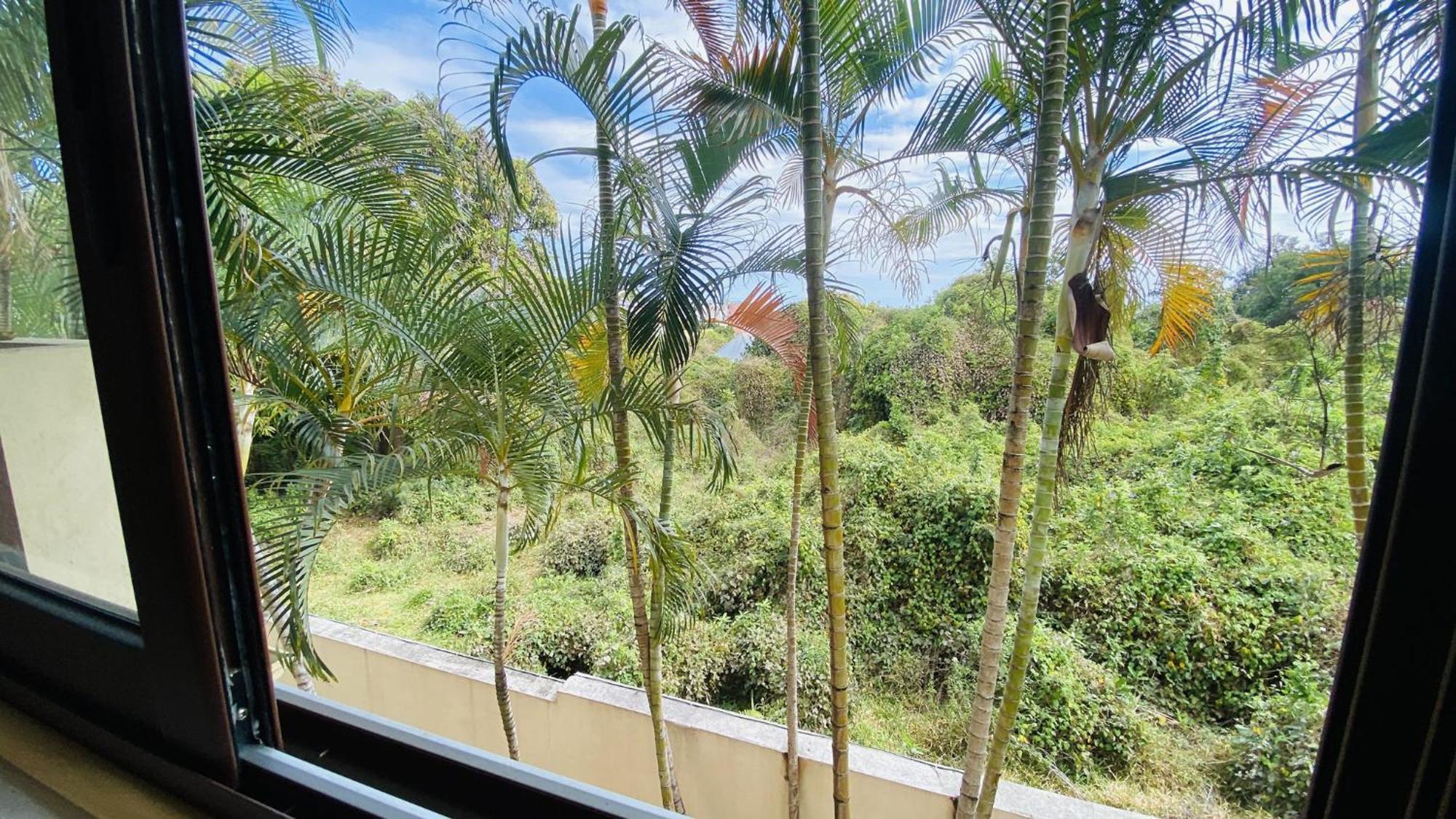 Coliver - Coliving A La Reunion Saint Pierre Exterior photo